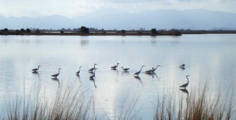 Western Greece beyond the sea…